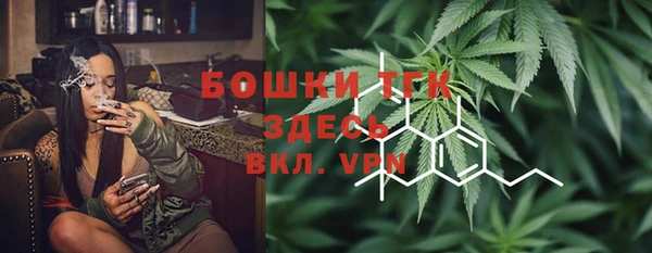 гидра Бородино