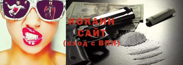 гидра Бородино