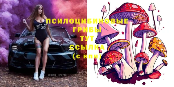 ГАЛЛЮЦИНОГЕННЫЕ ГРИБЫ Богородск