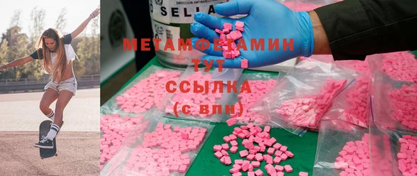 гидра Бородино