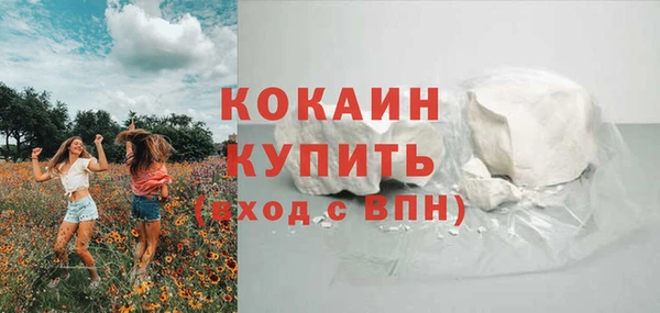 гидра Бородино