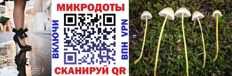 Псилоцибиновые грибы Psilocybe  Купить где  Кашин 